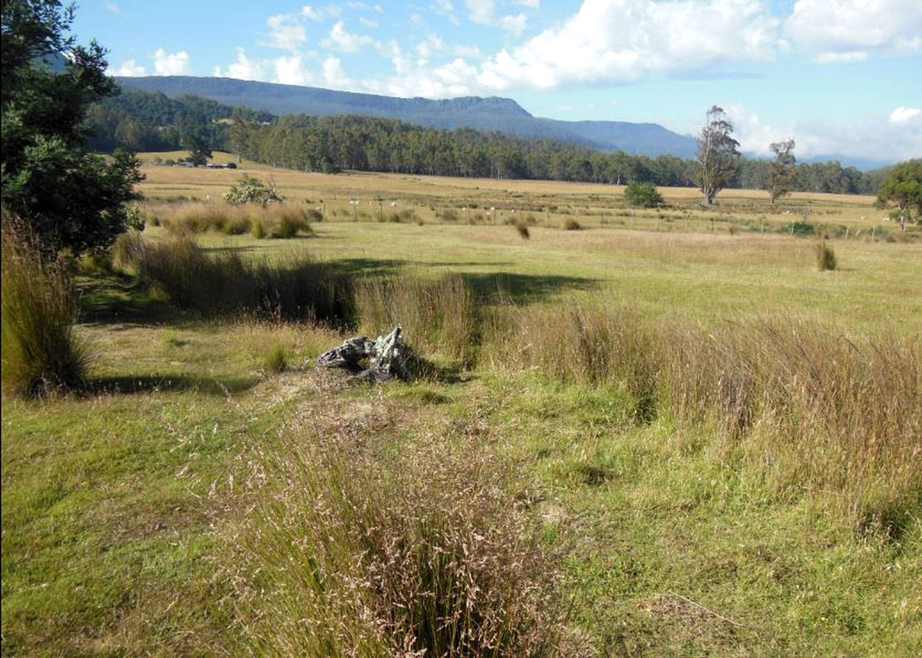 Delightful Room Rental in Secluded Bed and Breakfast in the Great Western Tiers of Northern Tasmania