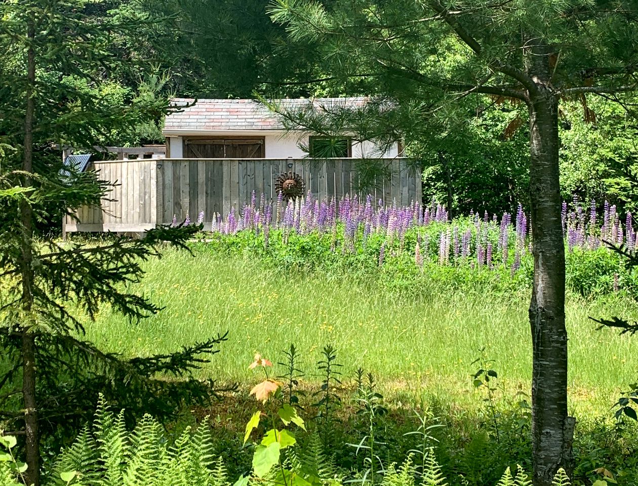 Private Forest Yurt Retreat in Long Point, Canada: Your Glamping Getaway Awaits