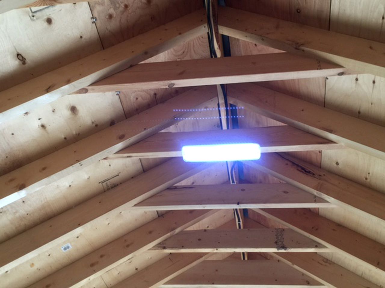 Rice Lake Lakeside Eco Cabins Rental on 25 Acre Island, Ontario, Canada