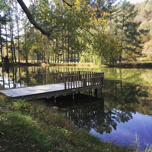 Vacation Rentals (United States of America, Franklin, Tennessee)