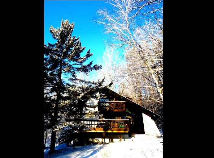 Cabins (Pittsfield, Vermont, United States)