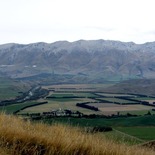 Cottages (Fairlie, South Island, New Zealand)