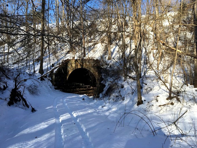 Cabins (Shenandoah , Virginia, United States)