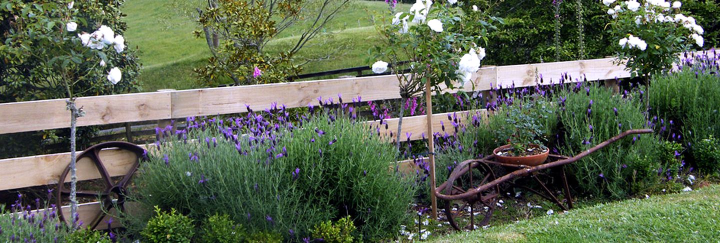 Luxurious Bed and Breakfast with a Lovely Spa Pool near Waikato, New Zealand