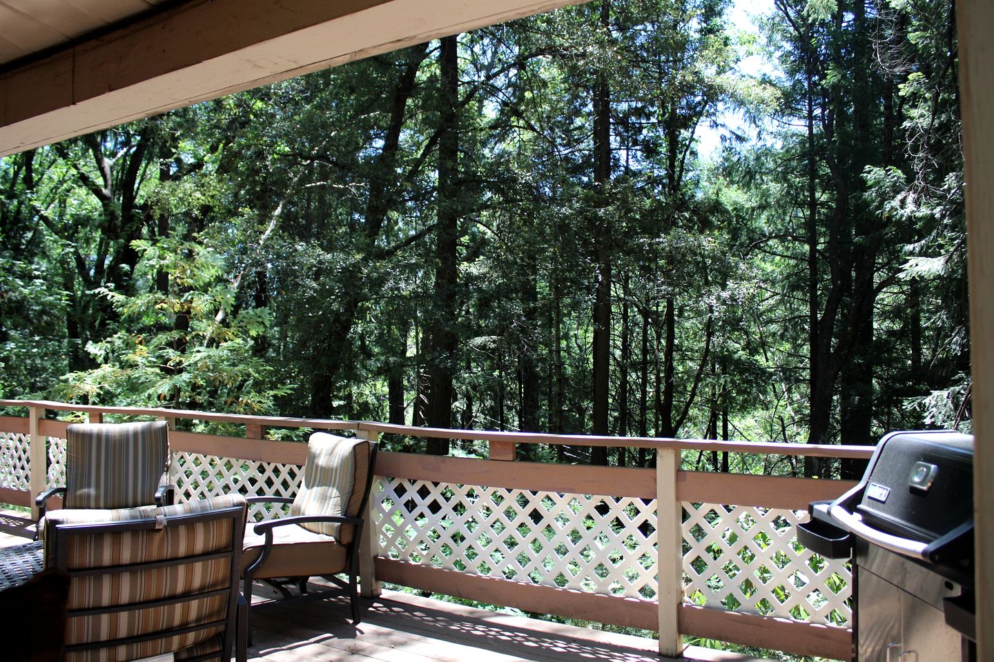 Spacious Woodland Getaway with Hot Tub and River Outlook in Dunsmuir, California