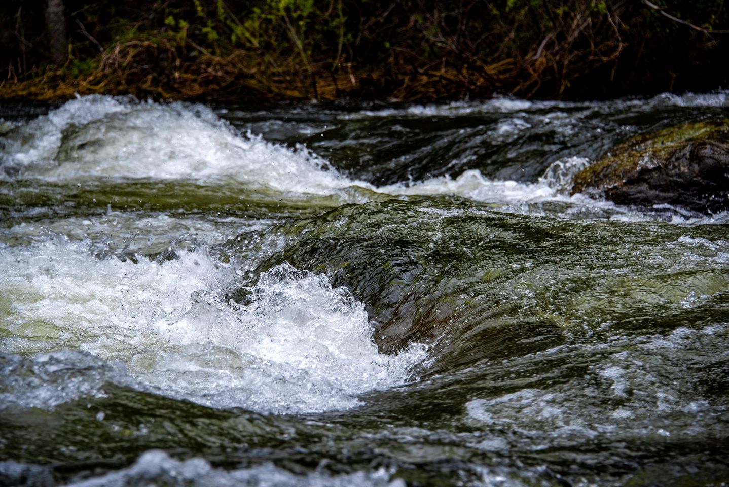 Spacious Woodland Getaway with Hot Tub and River Outlook in Dunsmuir, California