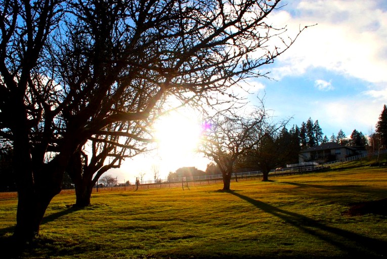 Nature Lodges (Dundee, Oregon, United States)