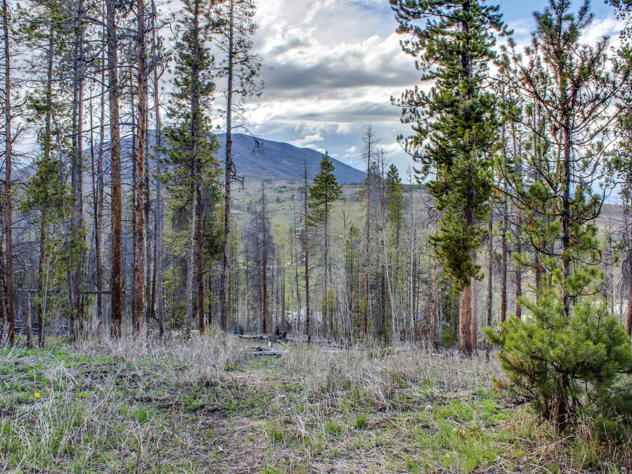 Forest Cabin for Rent near Fraser, Colorado