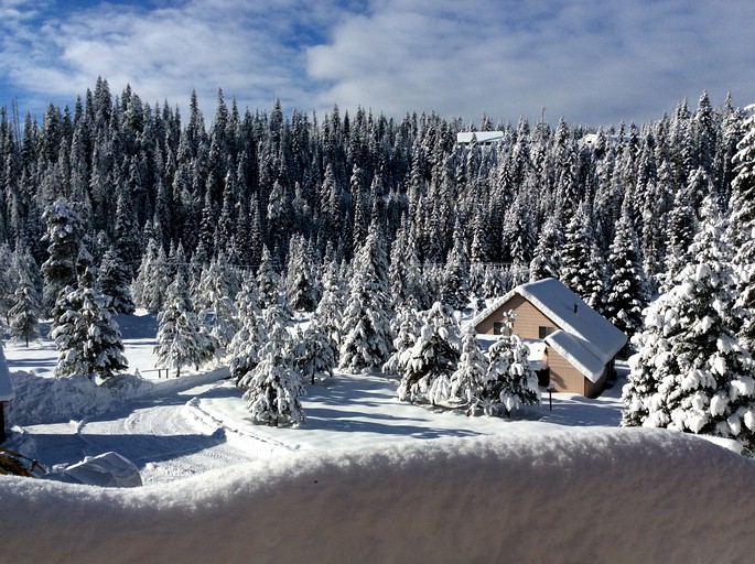 Cabins (Elk City, Idaho, United States)