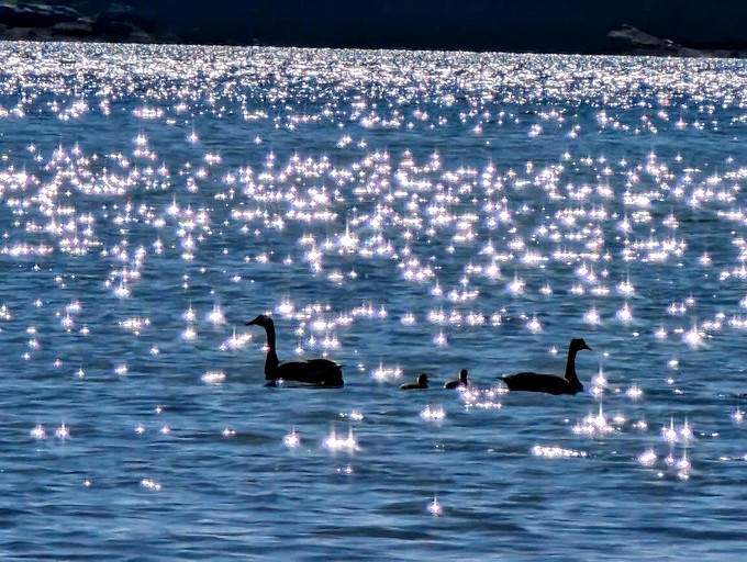 Vacation Rentals (United States of America, Sullivan, Maine)