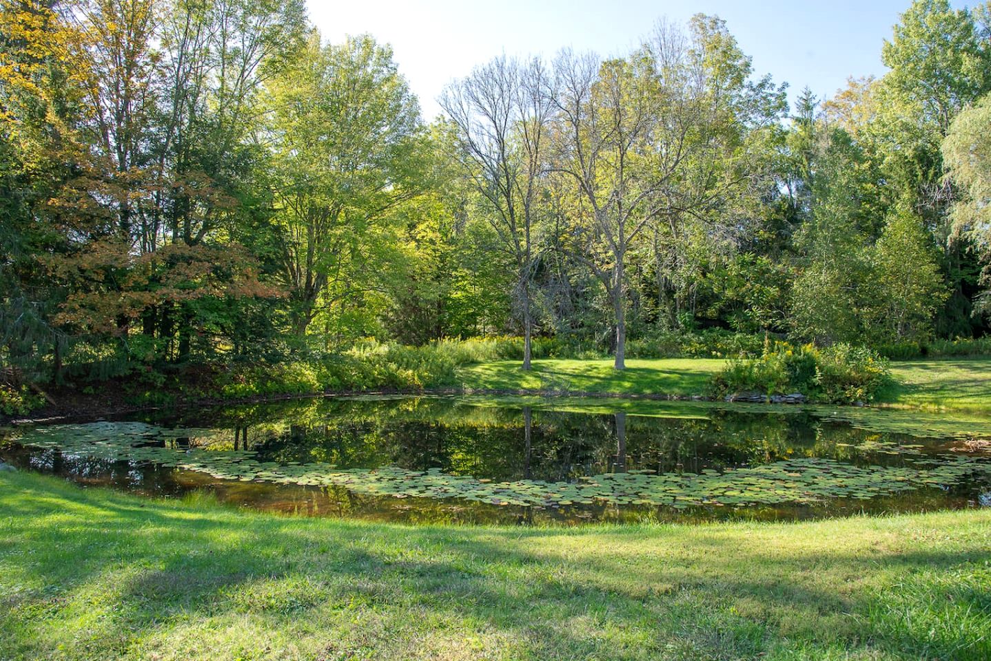 Charming Pet-Friendly Getaway with Deck & Nature Views in East Meredith, New York