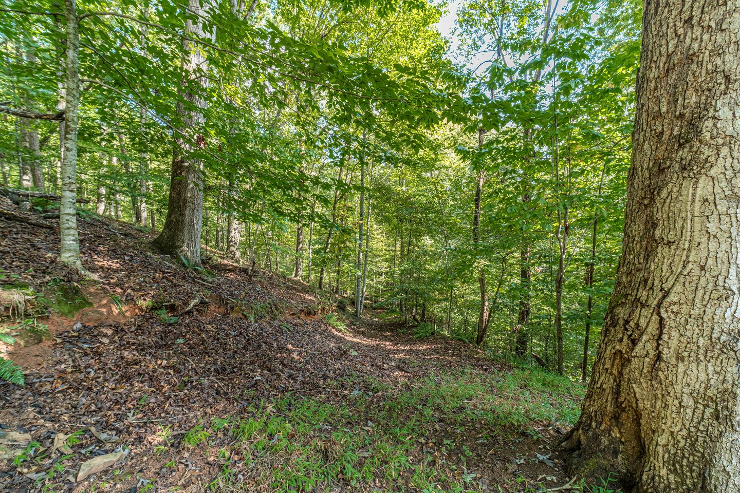 Secluded Luxury Mountain Cabin with Game Room & Hot Tub near Helen, Cleveland GA