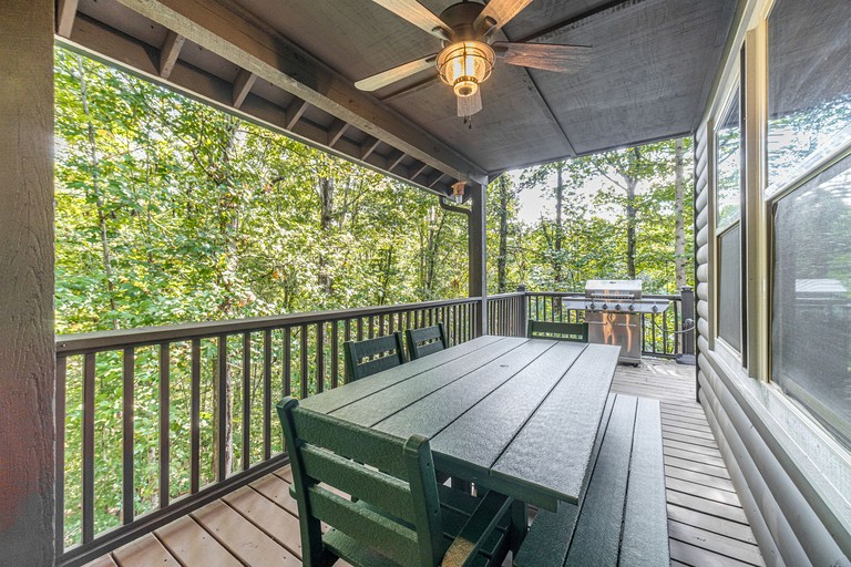 Cabins (United States of America, Cleveland, Georgia)