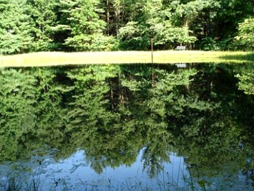 undefined photo 4