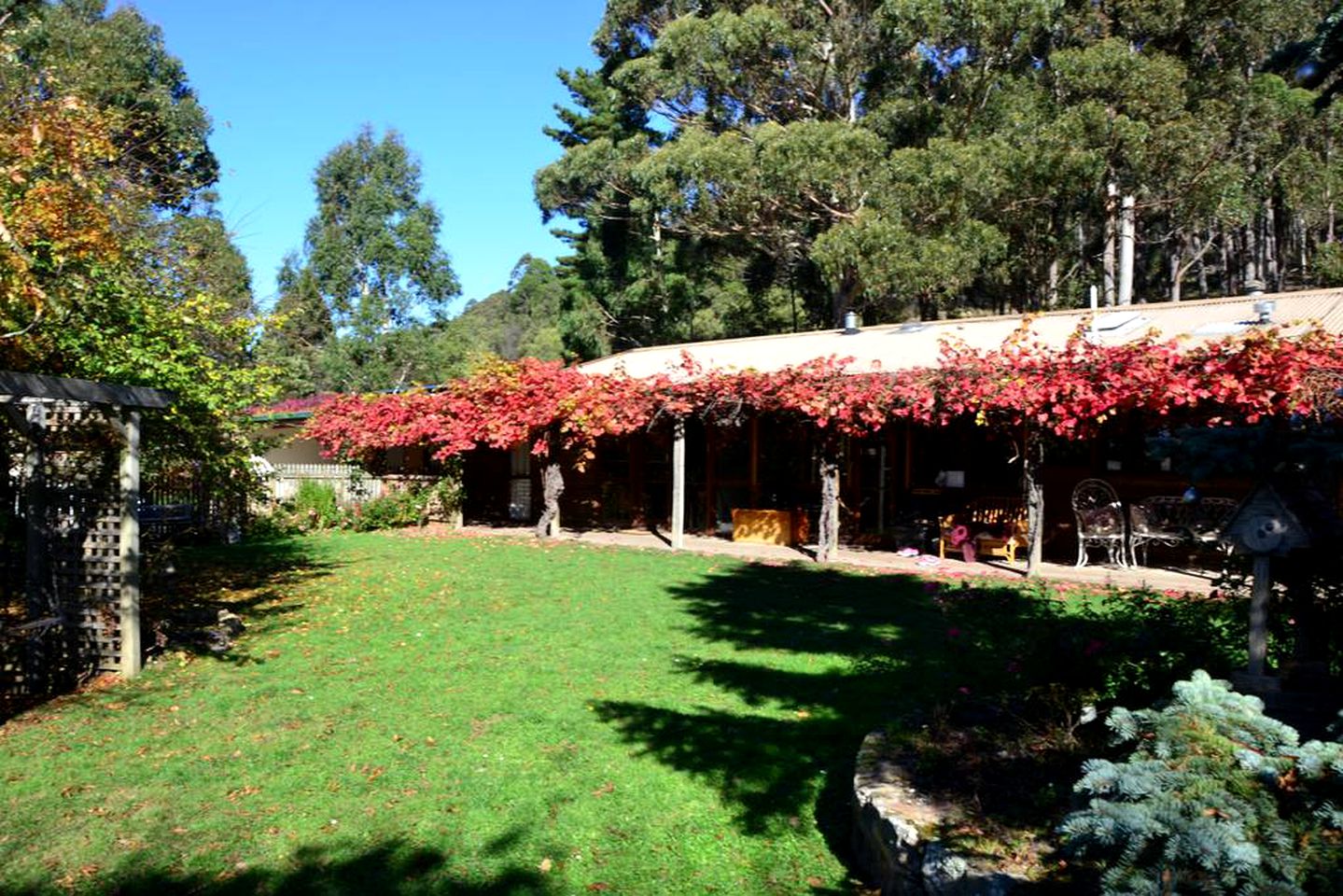 Unique Cottage Rental with a Horse Therapy Center near Hobart in Southern Tasmania, Australia