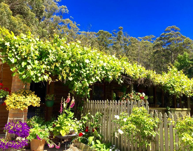 Cottages (Allens Rivulet, Tasmania, Australia)