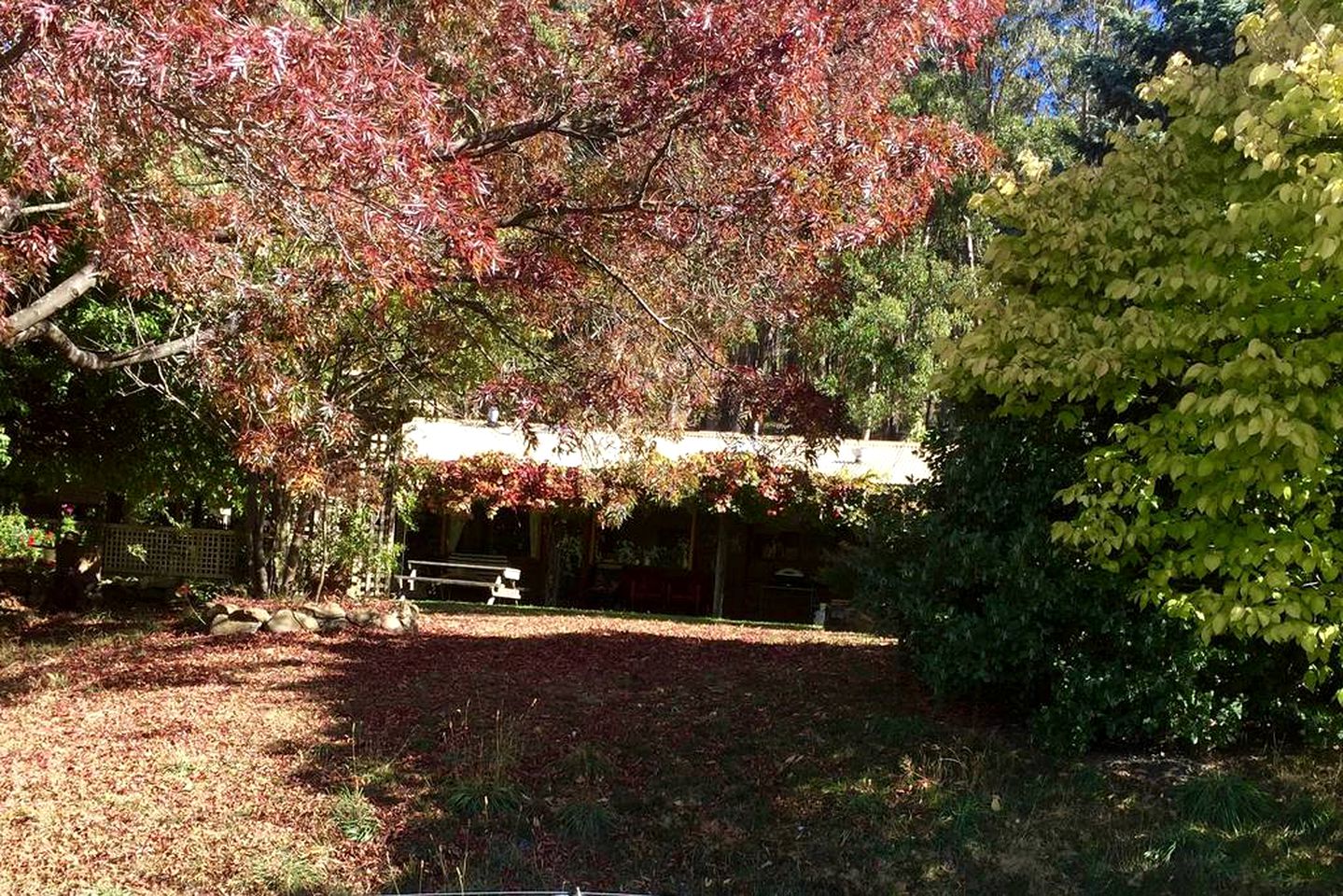 Unique Cottage Rental with a Horse Therapy Center near Hobart in Southern Tasmania, Australia