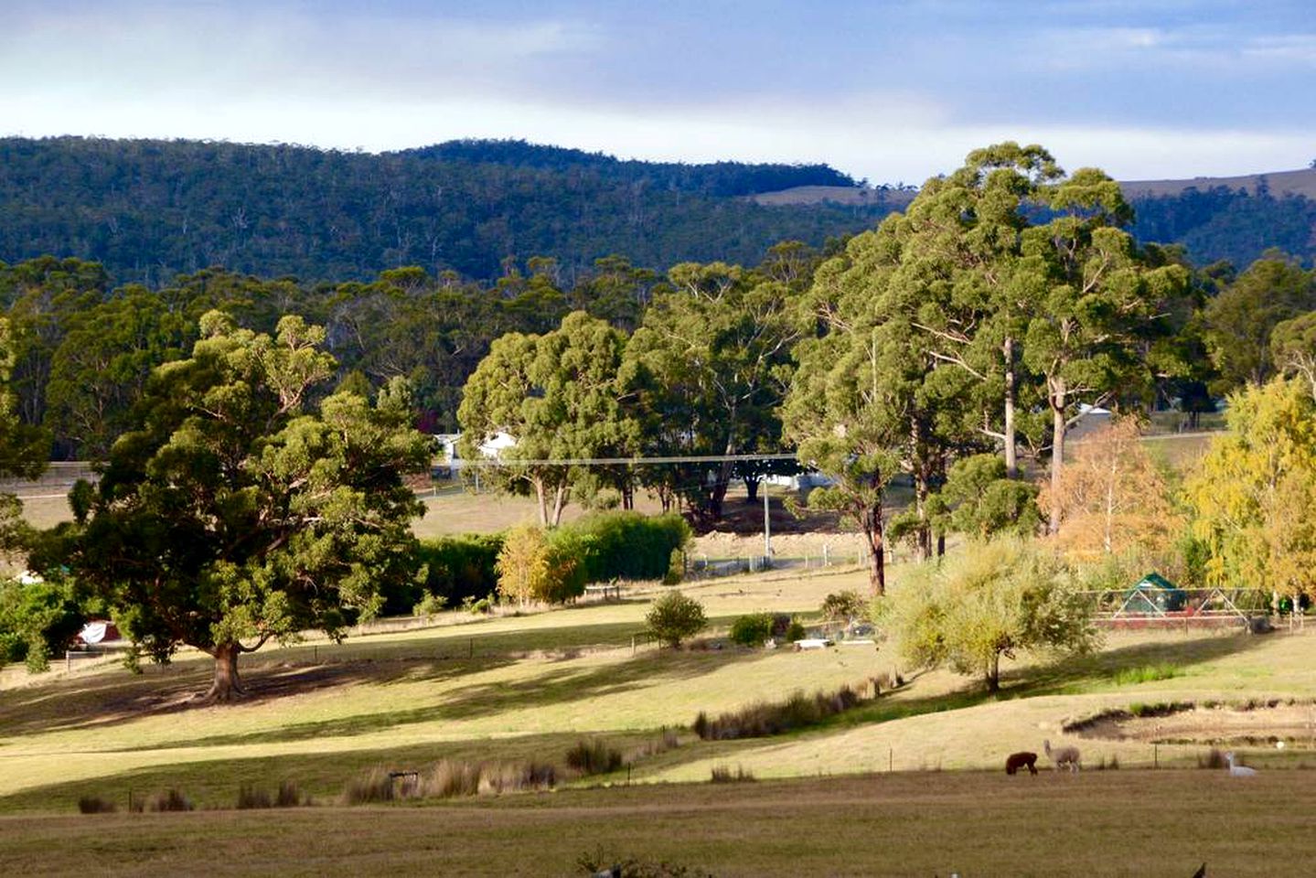 Unique Cottage Rental with a Horse Therapy Center near Hobart in Southern Tasmania, Australia