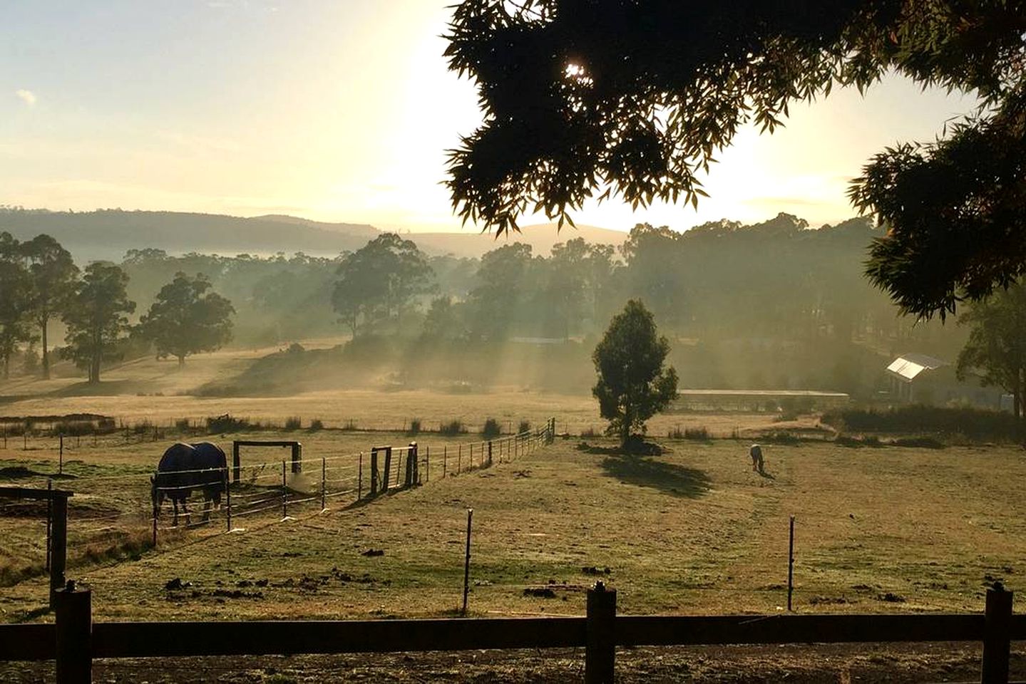 Unique Cottage Rental with a Horse Therapy Center near Hobart in Southern Tasmania, Australia