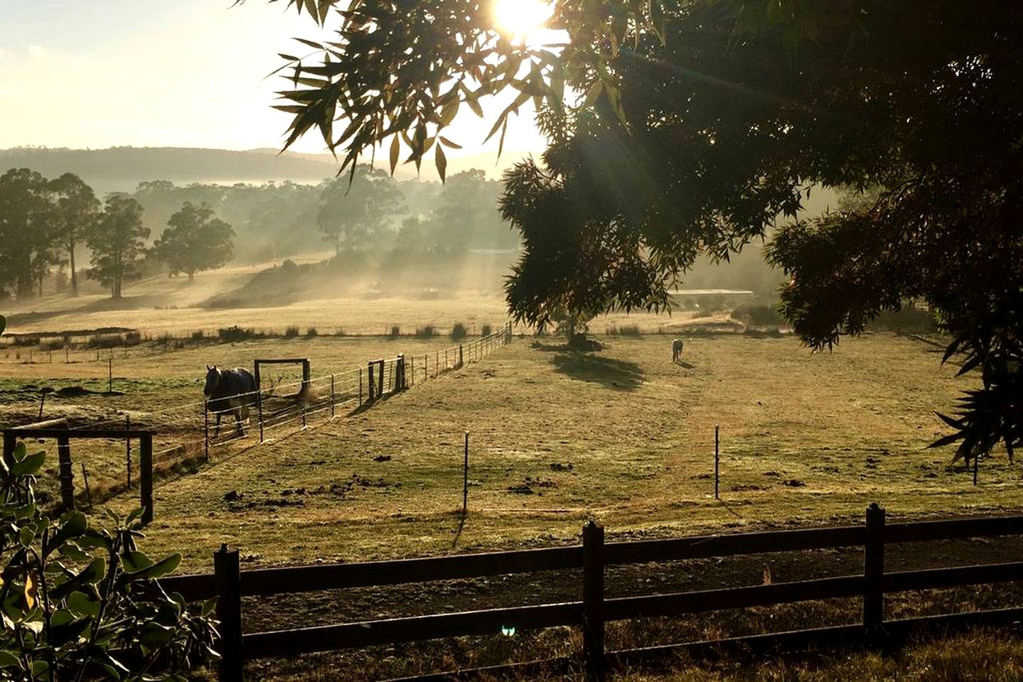 Unique Cottage Rental with a Horse Therapy Center near Hobart in Southern Tasmania, Australia