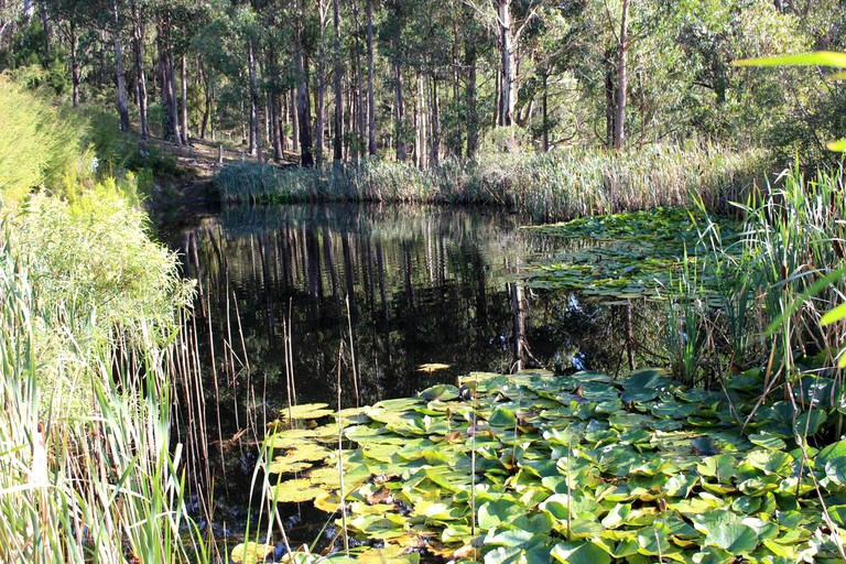 Cottages (Allens Rivulet, Tasmania, Australia)