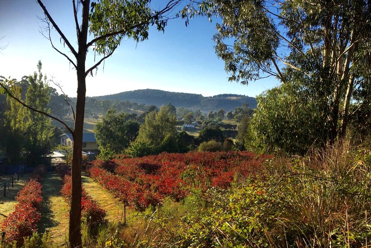 Cottages (Allens Rivulet, Tasmania, Australia)