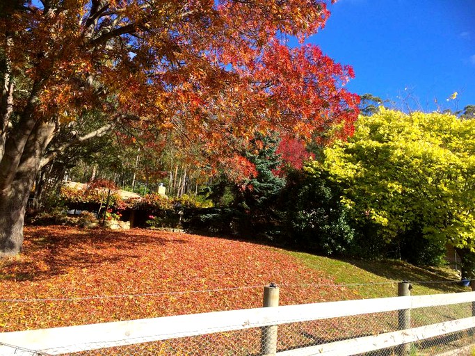 Cottages (Allens Rivulet, Tasmania, Australia)