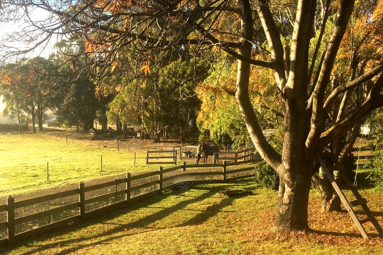 Cottages (Allens Rivulet, Tasmania, Australia)