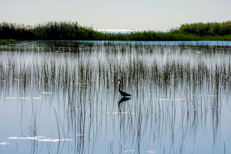 A-Frames (United States of America, Au Gres, Michigan)