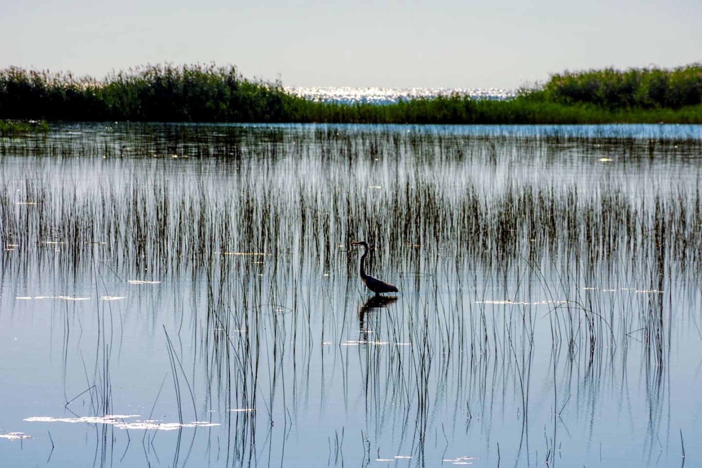 Fully-Equipped A-Frame with Beautiful Lake Views in Michigan