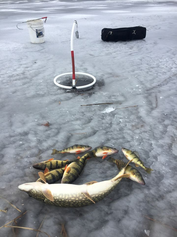 Fully-Equipped A-Frame with Beautiful Lake Views in Michigan