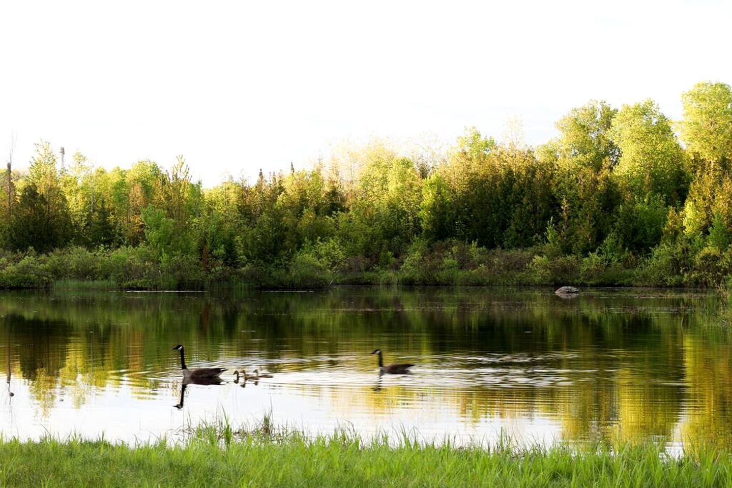 Fully Equipped Glamping Caravan near Miller Lake, Perfect for a Weekend Getaway from Toronto
