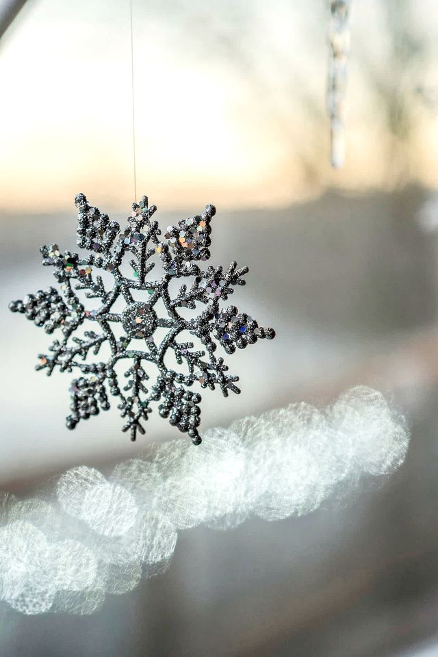 Fully-Equipped Lake Dome with Beautiful Interior and Exterior in Tennessee