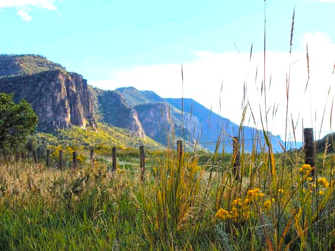 Yurts (Whitewater, Colorado, United States)