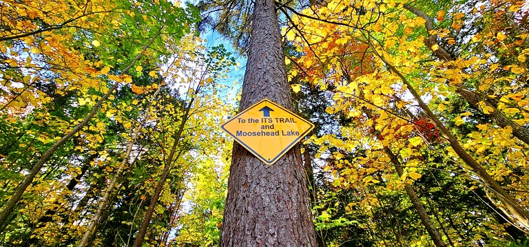 Cabins (United States of America, Greenville, Maine)