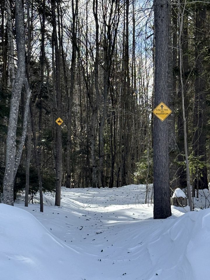 Fully Renovated Cabin Just Minutes to the Coast in Maine
