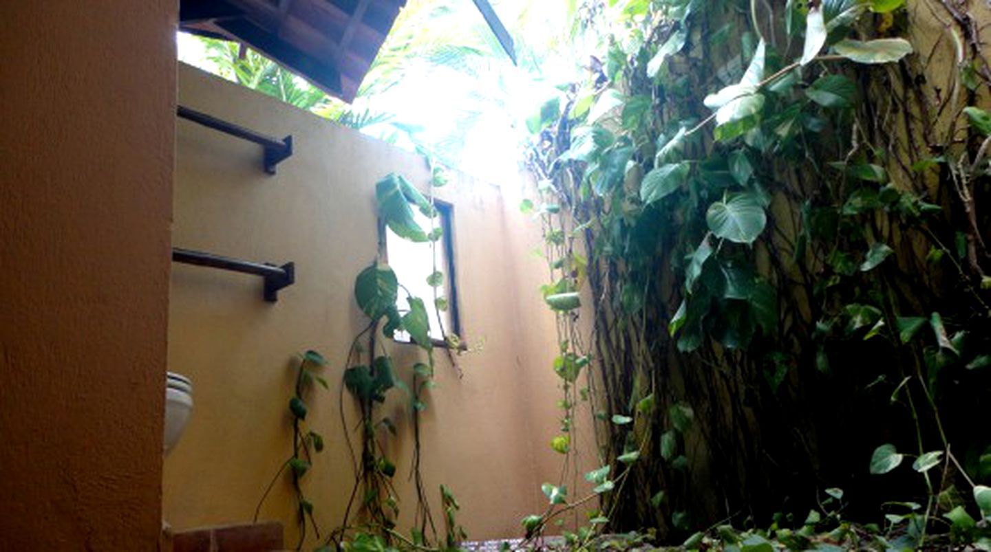 Spacious Jungle Bungalow Rental Perfect for a Group Getaway in Santa Teresa, Costa Rica