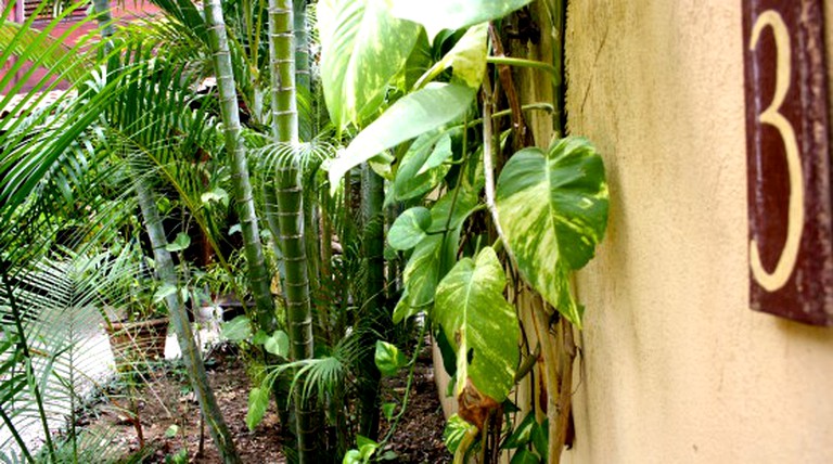 Cabins (Santa Teresa, Puntarenas, Costa Rica)