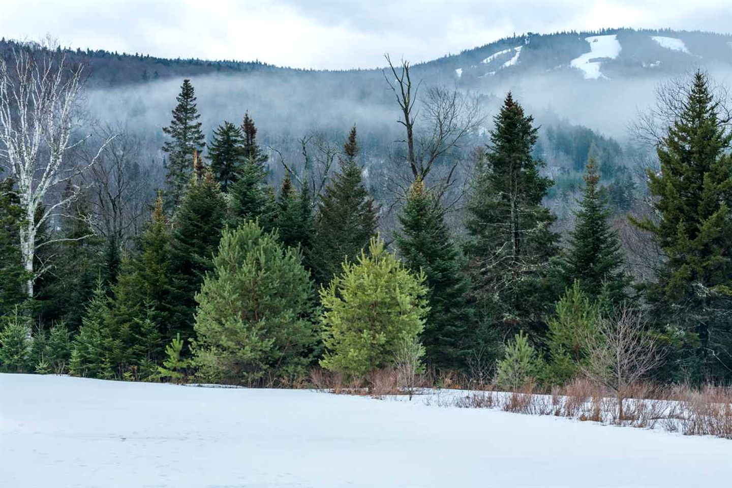 Cabin in the Mountains for Glamping in New Hampshire