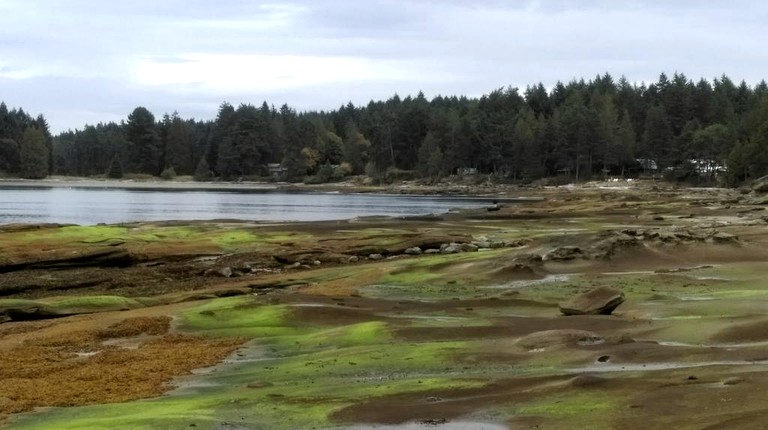 Nature Lodges (Gabriola Island, British Columbia, Canada)