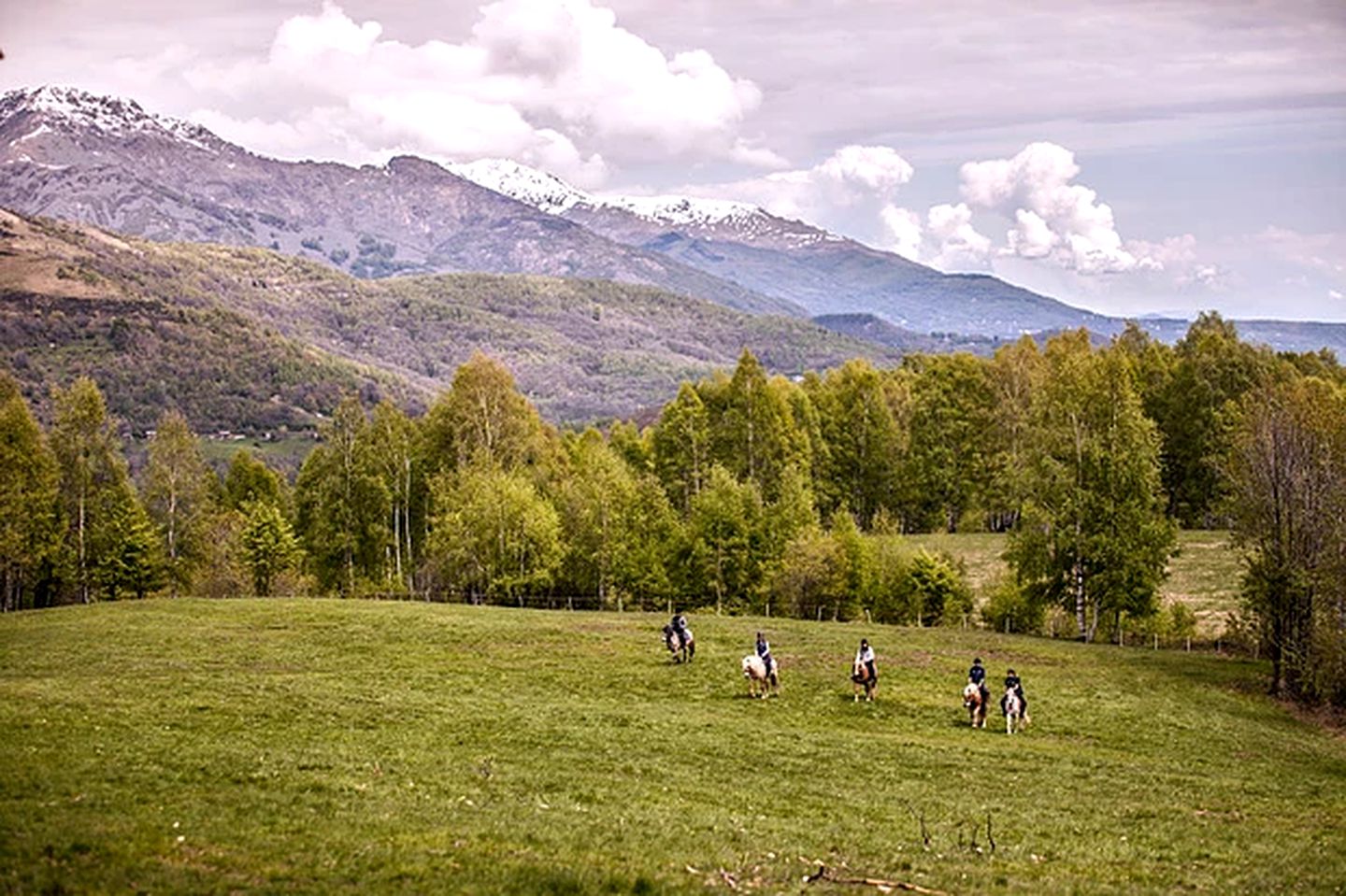 Pet-Friendly Accommodation for Two near World Equestrian Games, North Carolina