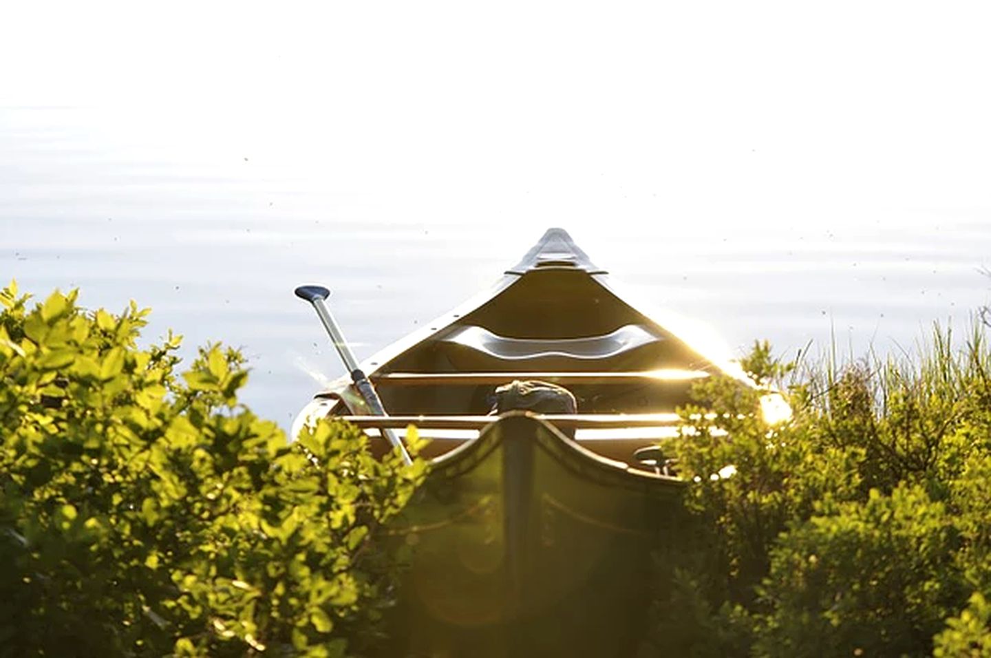 Pet-Friendly Accommodation for Two near World Equestrian Games, North Carolina