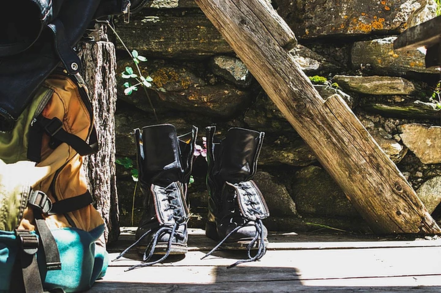 Pet-Friendly Accommodation for Two near World Equestrian Games, North Carolina