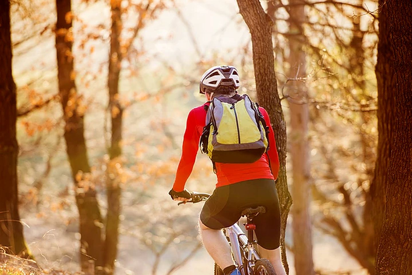 Pet-Friendly Accommodation for Two near World Equestrian Games, North Carolina