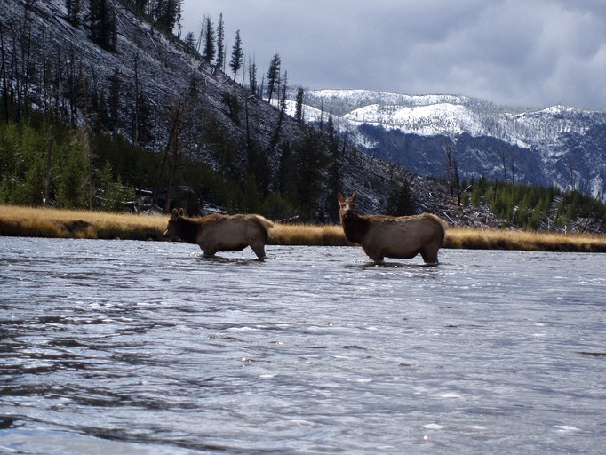 Cabins (Big Sky, Montana, United States)