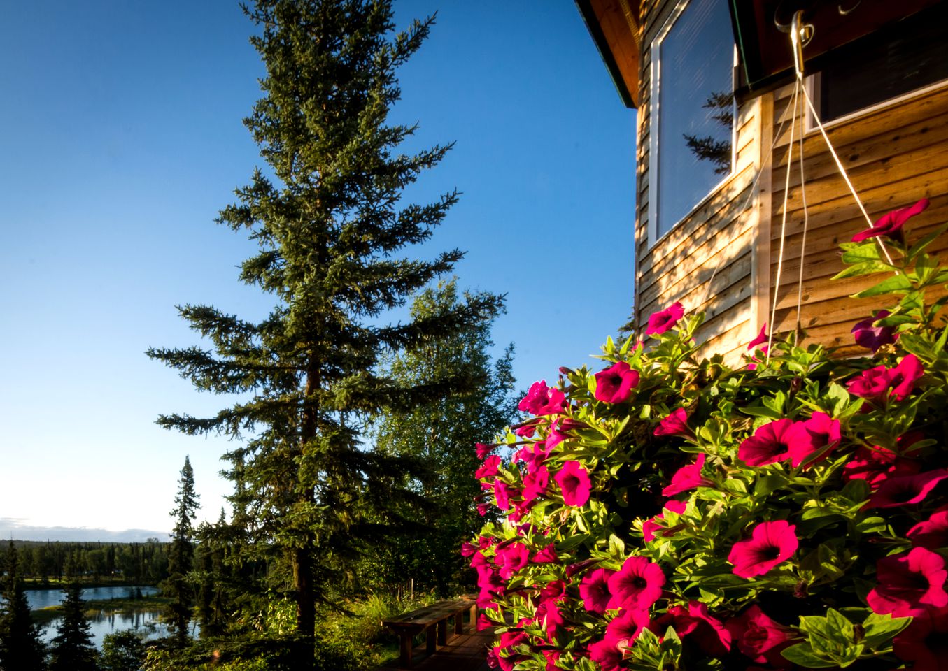 Lovely Accommodation for a Getaway on Cook Inlet in Kasilof, Alaska