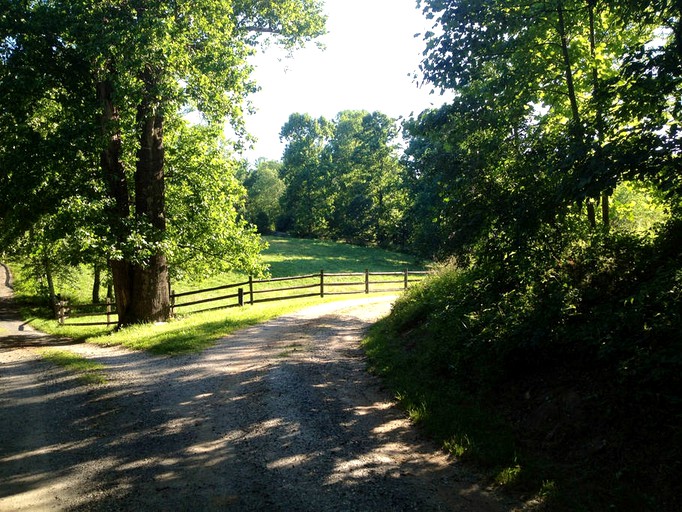 Barns (Afton, Virginia, United States)