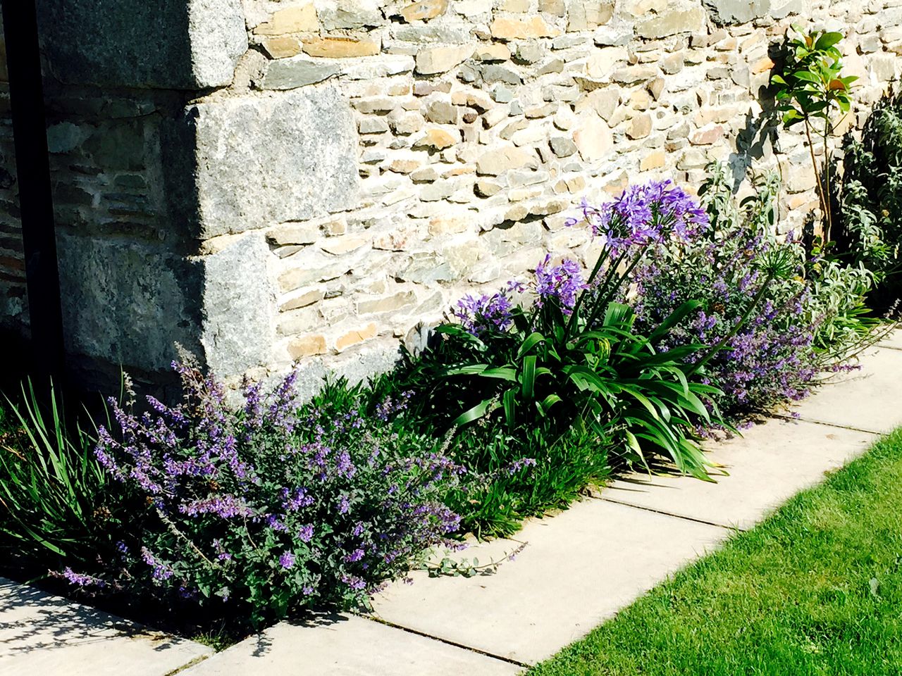 Gorgeous Country Cottage on the Rocky Shores near Dumfries, Scotland