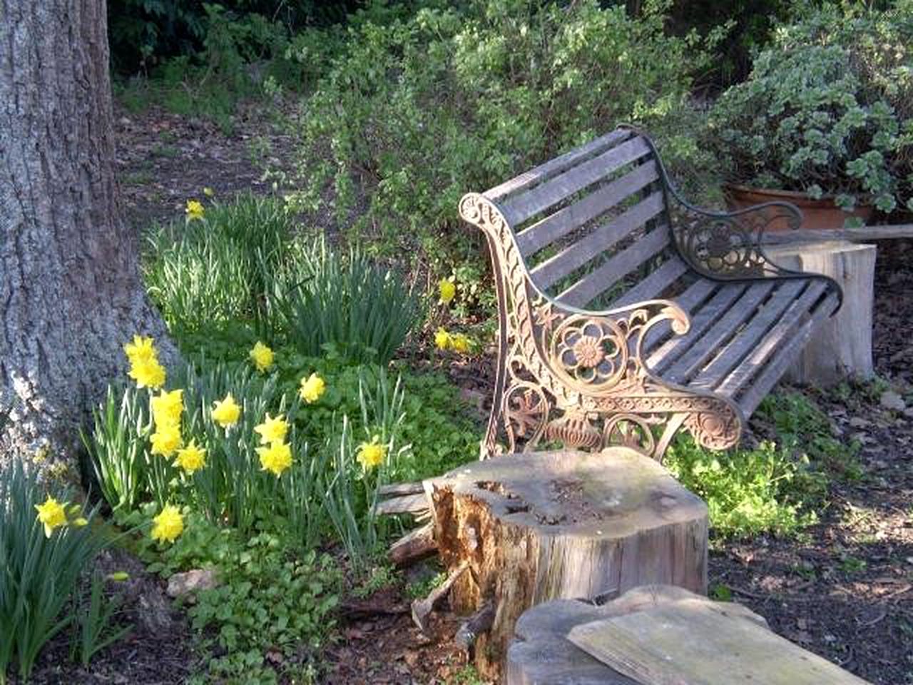 Vacation Rental in Ballarat, Victoria