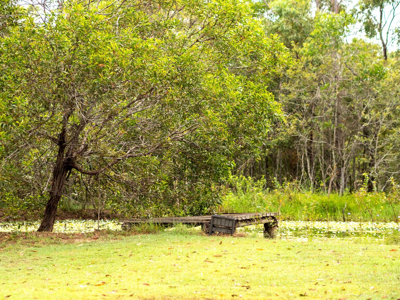 Garden Glamping in a Queensland Tiny House for Relaxation and Recreation